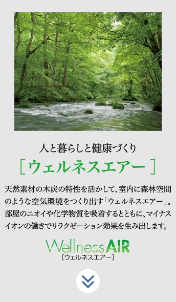 ウェルネスエアー：天然素材の木炭の特性を活かして、室内に森林空間のような空気環境を作り出す「ウェルネスエアー」。部屋の匂いや化学物質を吸着するとともに、マイナスイオンの働きでリラクゼーション効果を生み出します。