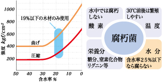 木材の強度と含水率の関係