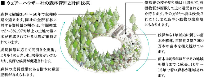 ウェアーハウザー社の森林管理と計画伐採