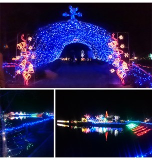 貴志川町の池をライトアップ